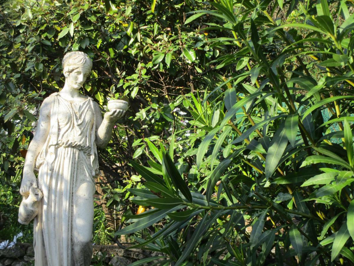 Villa Elisabeth Saint-Raphaël Extérieur photo